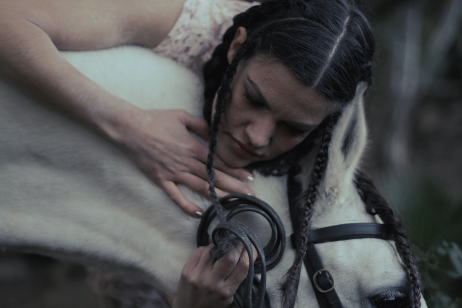horsehug1