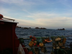 IMG_2128 IMG_2128